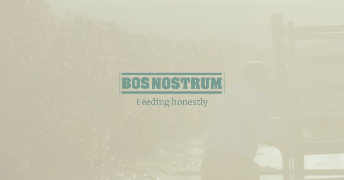 (c) Bosnostrum.com